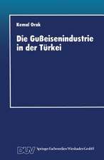 Die Gußeisenindustrie in der Türkei: Entwicklungschancen im internationalen Wettbewerb