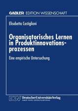 Organisatorisches Lernen in Produktinnovationsprozessen: Eine empirische Untersuchung