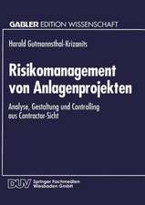 Risikomanagement von Anlagenprojekten: Analyse, Gestaltung und Controlling aus Contractor-Sicht