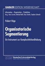 Organisatorische Segmentierung: Ein Instrument zur Komplexitätshandhabung