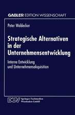 Strategische Alternativen in der Unternehmensentwicklung: Interne Entwicklung und Unternehmensakquisition