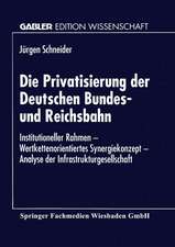 Die Privatisierung der Deutschen Bundes- und Reichsbahn: Institutioneller Rahmen — Wertkettenorientiertes Synergiekonzept — Analyse der Infrastrukturgesellschaft