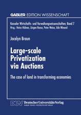 Large-scale Privatization via Auctions