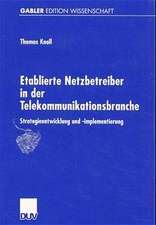 Etablierte Netzbetreiber in der Telekommunikationsbranche: Strategieentwicklung und -implementierung