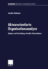 Akteurorientierte Organisationsanalyse: Analyse und Gestaltung virtueller Unternehmen