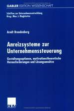 Anreizsysteme zur Unternehmenssteuerung: Gestaltungsoptionen, motivationstheoretische Herausforderungen und Lösungsansätze