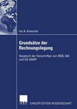 Grundsätze der Rechnungslegung: Vergleich der Vorschriften von HGB, IAS und US-GAAP