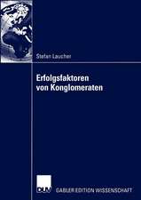 Erfolgsfaktoren von Konglomeraten