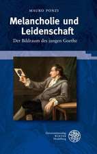 Melancholie Und Leidenschaft: Der Bildraum Des Jungen Goethe