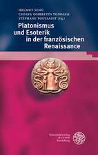 Platonismus und Esoterik in der französischen Renaissance