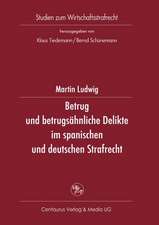 Betrug und betrugsähnliche Delikte im spanischen und deutschen Strafrecht