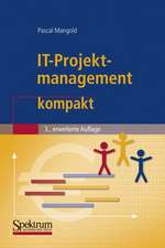 IT-Projektmanagement kompakt