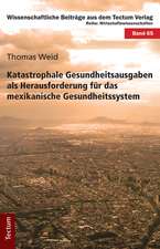 Katastrophale Gesundheitsausgaben als Herausforderung für das mexikanische Gesundheitssystem