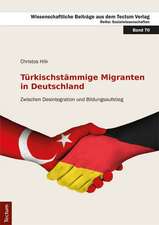 Hilk, C: Türkischstämmige Migranten in Deutschland