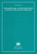 Meinungsäußerungs- und Informationsfreiheit im Internet aus der Sicht des Völkerrechts