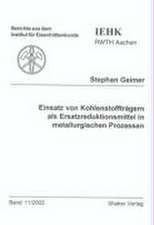 Einsatz von Kohlenstoffträgern als Ersatzreduktionsmittel in metallurgischen Prozessen