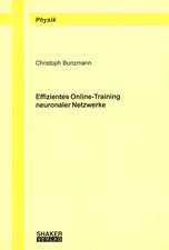 Effizientes Online-Training neuronaler Netzwerke