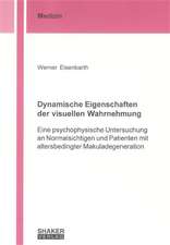 Dynamische Eigenschaften der visuellen Wahrnehmung