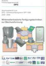 Abschlussbericht zum DFG-Schwerpunktprogramm SPP 1098 - Wirkmedienbasierte Fertigungstechniken zur Blechumformung