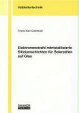 Elektronenstrahl-rekristallisierte Siliziumschichten für Solarzellen auf Glas