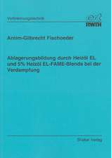 Ablagerungsbildung durch Heizöl EL und 5% Heizöl EL-FAME-Blends bei der Verdampfung