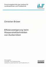 Effizienzsteigerung beim Wasserstrahlschneiden von Zuckerrüben