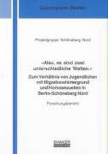 »Also, es sind zwei unterschiedliche Welten.«: Zum Verhältnis von Jugendlichen mit Migrationshintergrund und Homosexuellen in Berlin-Schöneberg Nord