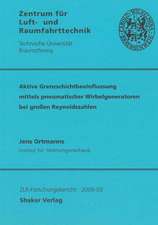 Aktive Grenzschichtbeeinflussung mittels pneumatischer Wirbelgeneratoren bei großen Reynoldszahlen