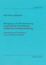 Reinigung und Strukturierung empfindlicher Oberflächen mittels Excimerlaserstrahlung