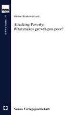 Attacking Poverty: What makes growth pro-poor?