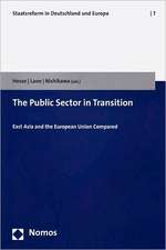 The Public Sector in Transition