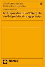 Rechtsgrundsatze Im Volkerrecht Am Beispiel Des Vorsorgeprinzips: Eine Zwischenbilanz