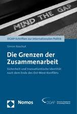 Die Grenzen Der Zusammenarbeit: Sicherheit Und Transatlantische Identitat Nach Dem Ende Des Ost-West-Konflikts