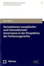 Konzeptionen Europaischer Und Transnationaler Governance in Der Perspektive Des Verfassungsrechts: Grundlagen Und Fallstudien