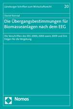 Die Übergangsbestimmungen für Biomasseanlagen nach dem EEG