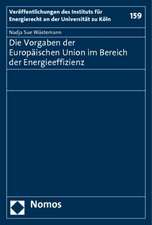 Die Vorgaben Der Europaischen Union Im Bereich Der Energieeffizienz: 'Das Leitbild Des 'Mundigen Verbrauchers' Im Spiegel Von Recht Und Ethik'