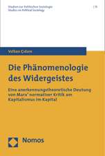 Çidam, V: Phänomenologie des Widergeistes