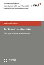 Zur Zukunft des Mercosur