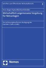 Wirtschaftlich angemessene Vergütung für Netzanlagen