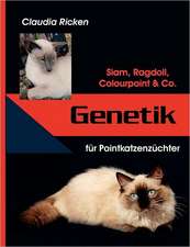 Genetik für Pointkatzenzüchter