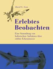 Erlebtes Beobachten