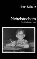 Nebelstochern - Eine Kindheit Am Lech: Heilung Von Besetzungen