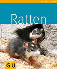 Ludwig, G: Ratten