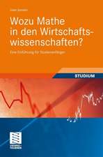 Wozu Mathe in den Wirtschaftswissenschaften?: Eine Einführung für Studienanfänger