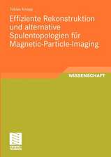 Effiziente Rekonstruktion und alternative Spulentopologien für Magnetic-Particle-Imaging