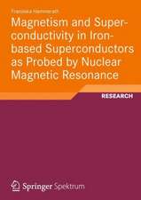 Magnetism and Superconductivity in Iron-based Superconductors as Probed by Nuclear Magnetic Resonance