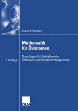 Mathematik für Ökonomen: Grundlagen für Betriebswirte, Volkswirte und Wirtschaftsingenieure