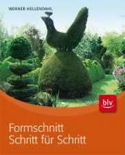 Formschnitt Schritt für Schritt