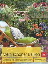 Mein schöner Balkon