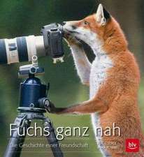 Fuchs ganz nah